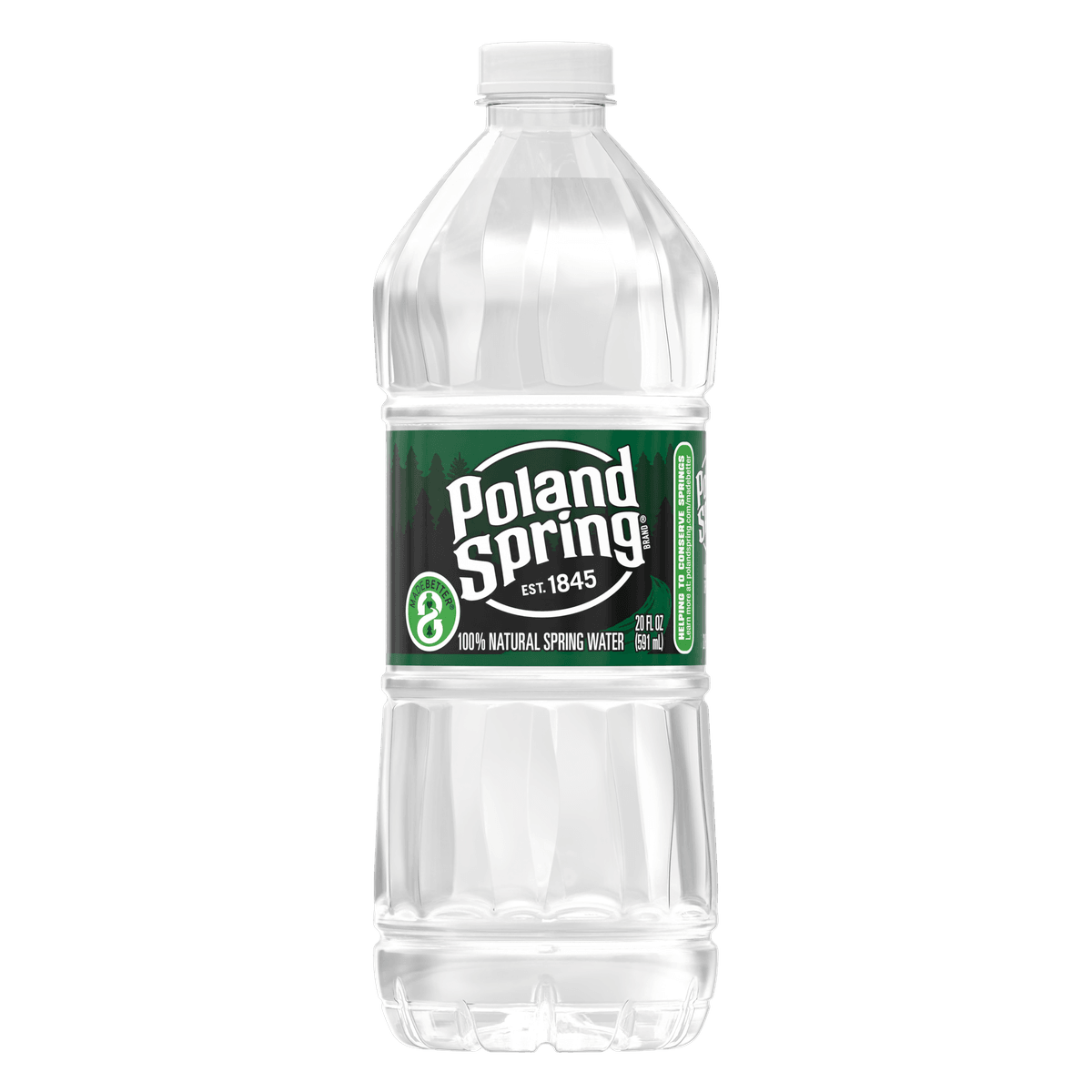 20 fl oz Bottled Water, Single