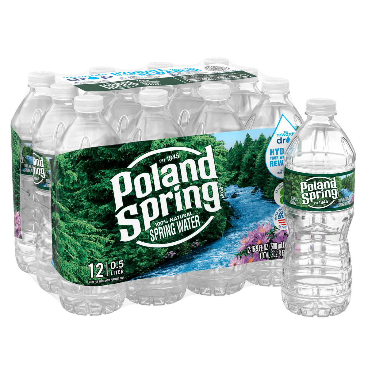 16.9 fl oz Bottled Water, 12 Pack