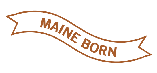 poland spring water northeast born