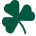 paddys banner icon